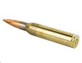 .338 Lapua Magnum